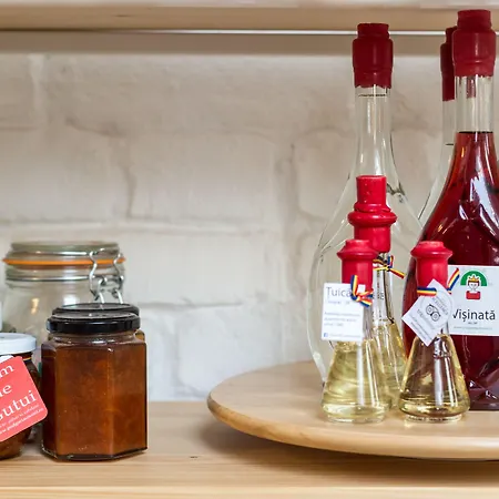 Ξενοδοχείο με διαμερίσματα Little Mansion Next To Parliament Palace Βουκουρέστι