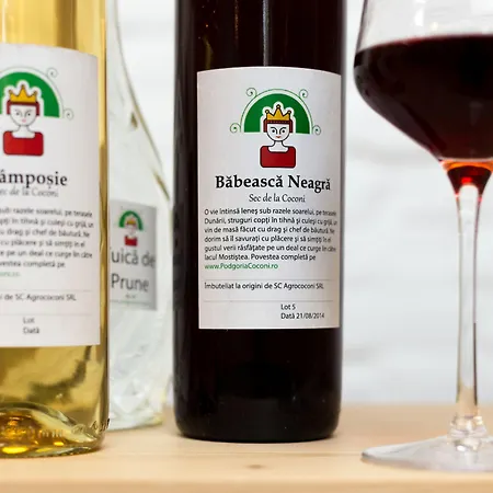 Ξενοδοχείο με διαμερίσματα Little Mansion Next To Parliament Palace