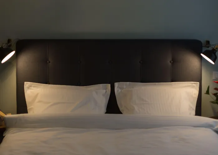 Little Mansion Next To Parliament Palace 4* Бухарест